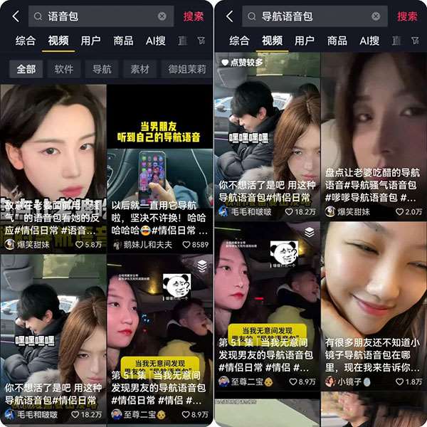 导航语音包冷门项目，执行就出单-壹度创客网
