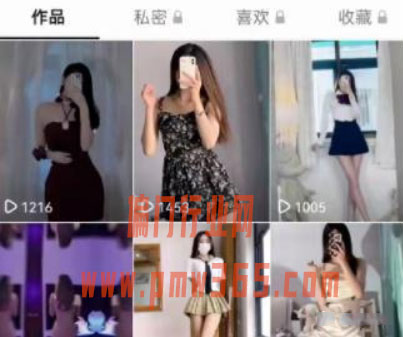 抖音模特写真项目，美女图片项目操作方法-壹度创客网