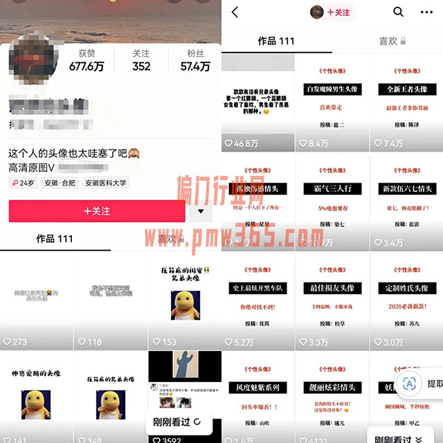 抖音姓氏头像号项目，冷门挣钱玩法思路-壹度创客网