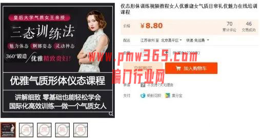 小众冷门的礼仪培训项目这么暴利-壹度创客网