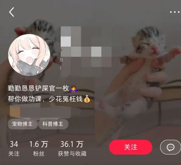 一个月涨粉1w+的宠物赛道新玩法-壹度创客网