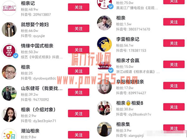 线上相亲，线上婚介所项目实操讲解-壹度创客网