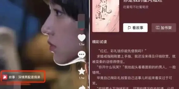 抖音故事项目，小说推文变现玩法-壹度创客网