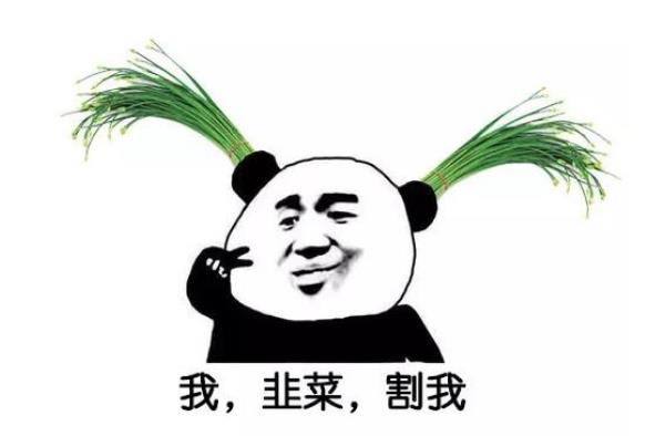 我是韭菜，推荐几个赚钱项目给我吧！-壹度创客网