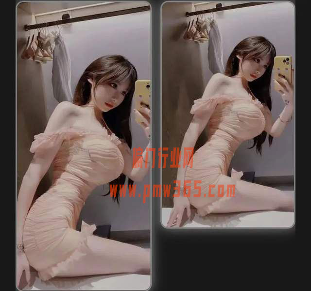 揭秘一个美女写真搬运擦边项目-壹度创客网