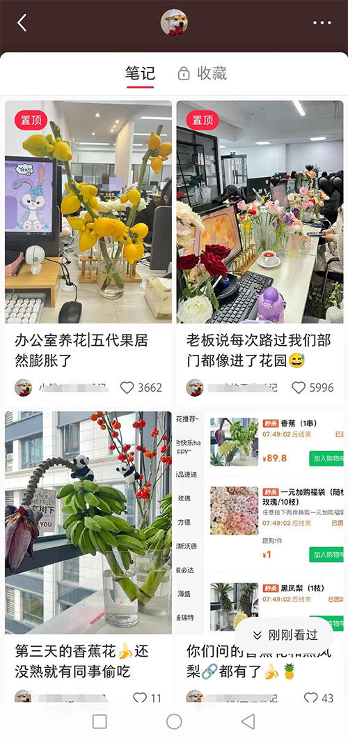 小红书导流快团团卖货实操案例-壹度创客网