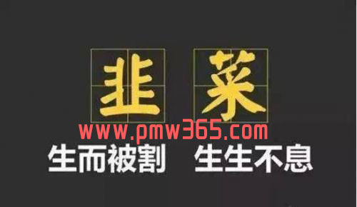 偏门圈健哥分享：割韭菜，就是讲思维，讲故事-壹度创客网
