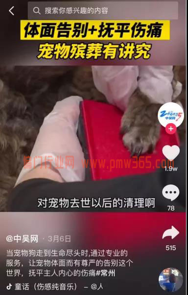 宠物殡葬,冷门又暴利的项目-壹度创客网