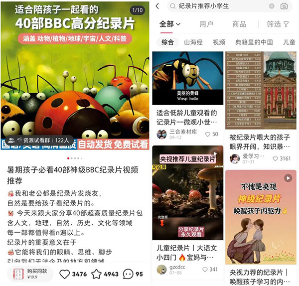 绝对暴利的小红书纪录片市场刚需项目-壹度创客网