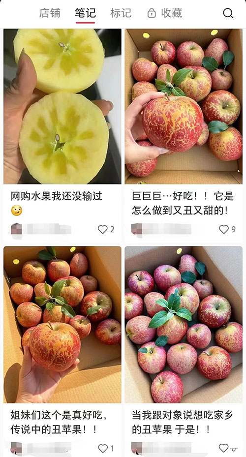 1万粉丝销量4万多单小红书赚钱案例-壹度创客网