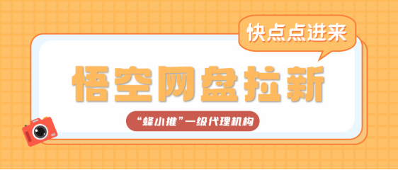 蜂小推：悟空网盘拉新秘籍：文件如何分类命名能提高用户下载量-壹度创客网