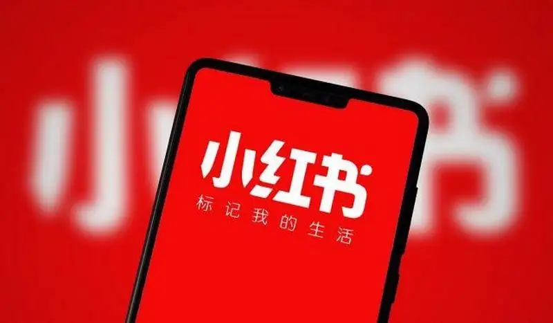 人人都可玩转小红书，小红书项目详细讲解！-壹度创客网