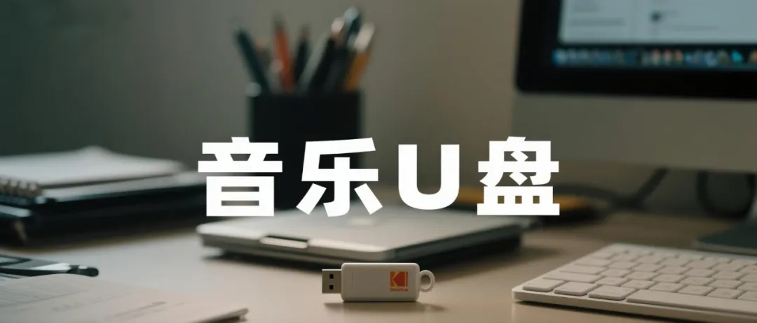 抖音音乐号：靠卖U盘月入5万的野路子！-壹度创客网