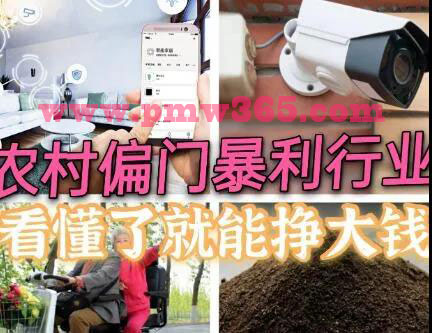 乡村全新暴利赚钱好点子，较为冷门可是赚钱行业-壹度创客网