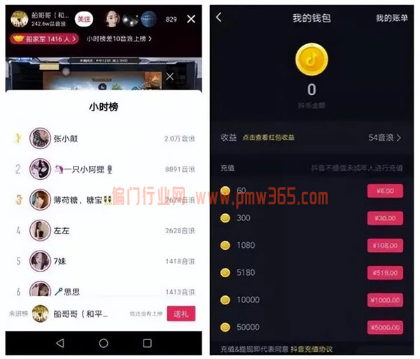 抖音娱乐赚音浪，另类偏门搞钱玩法-壹度创客网