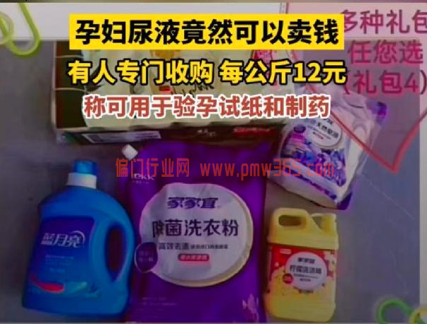 回收孕妇尿，一个带味的冷门回收项目-壹度创客网
