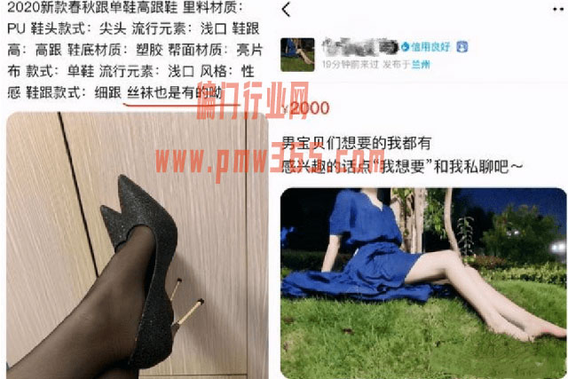 揭秘原味美女系列‬野路子项目‎-壹度创客网