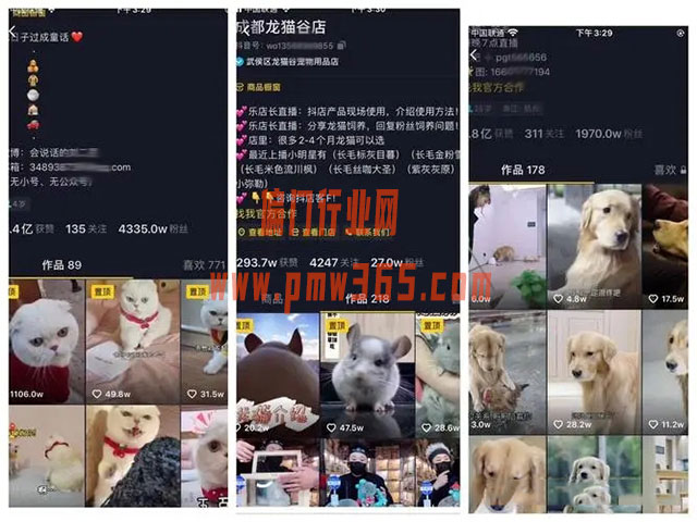 自带流量的宠物冷知识号变现方法-壹度创客网