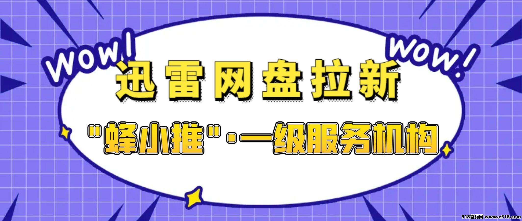 蜂小推，迅雷网盘拉新，为你一站式搞定数据管理+财富增长-壹度创客网