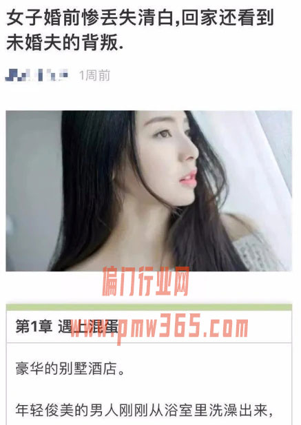 小说推荐项目,长期稳定的搞钱路子-壹度创客网