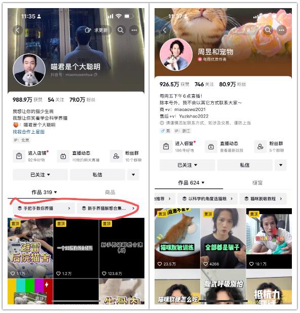宠物赛道快速入局，一单收入四位数，单月轻松破2w-壹度创客网