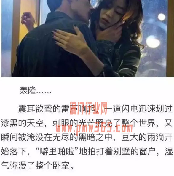 拆解小说推文项目,长期稳定的盈利方式-壹度创客网