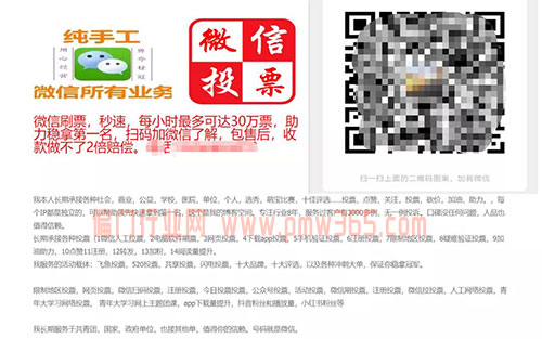 网上投票项目，投资小又简单的暴利生意！-壹度创客网