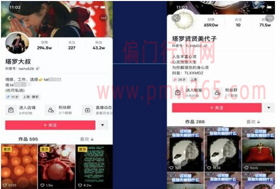 塔罗牌项目，不起眼新兴起的项目-壹度创客网