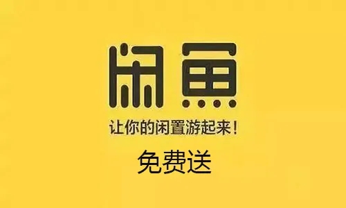 闲鱼日净赚五百的免费送项目-壹度创客网