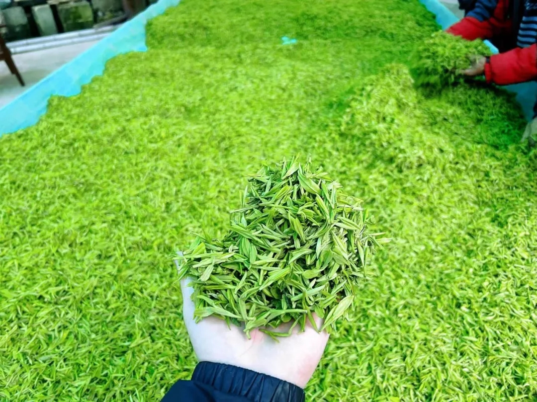 普通人不要去卖茶，注定赚不到钱-壹度创客网