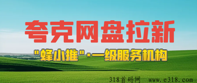 探秘夸克网盘拉新，活动助力推广，收入可观还送全套资料！-壹度创客网