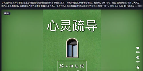疗愈领域细分赛道，日入破千玩法-壹度创客网