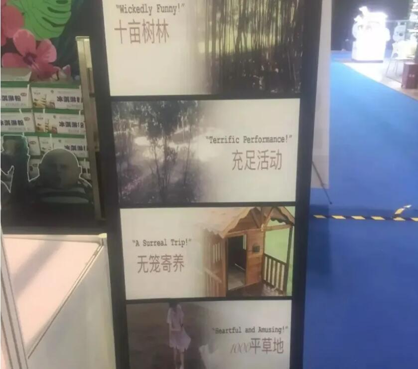 轻创业项目，宠物行业冷门市场–宠物寄养-壹度创客网
