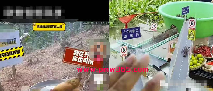 偏门健哥分享新手学会一天赚500,2个短视频暴利赚钱项目-壹度创客网