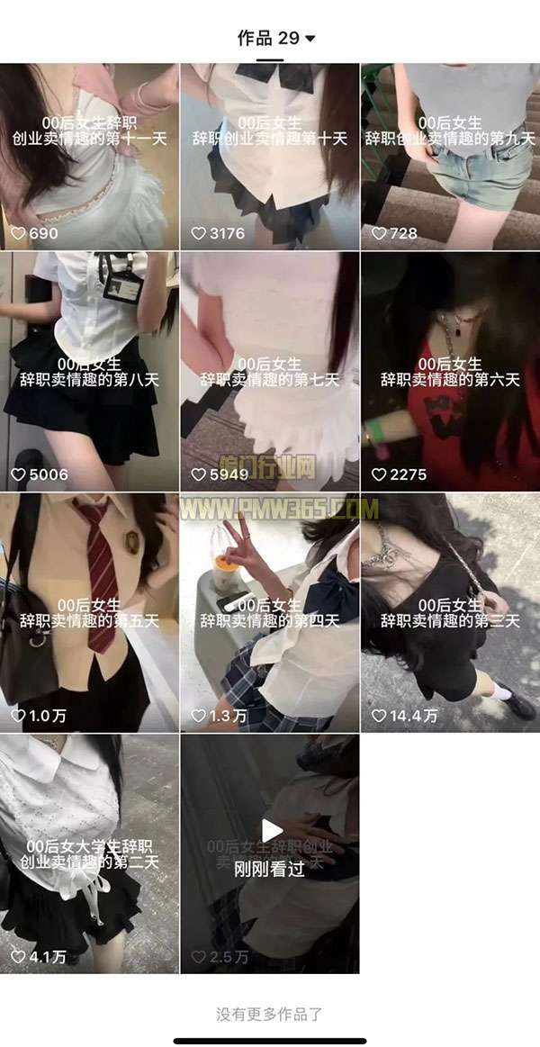 美女辞职卖情趣，超暴力项目思路-壹度创客网
