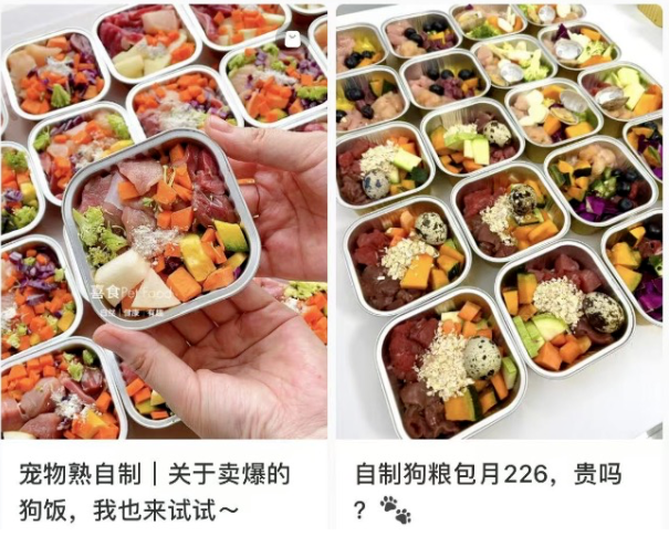 零门槛年赚50万+的偏门小众赚钱项目-壹度创客网