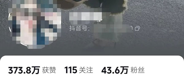 做男粉项目用什么样的素材流量最大-壹度创客网