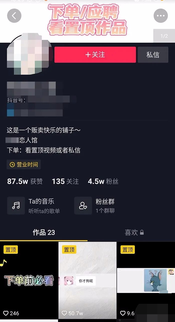 虚拟恋人冷门风口赚钱项目-壹度创客网