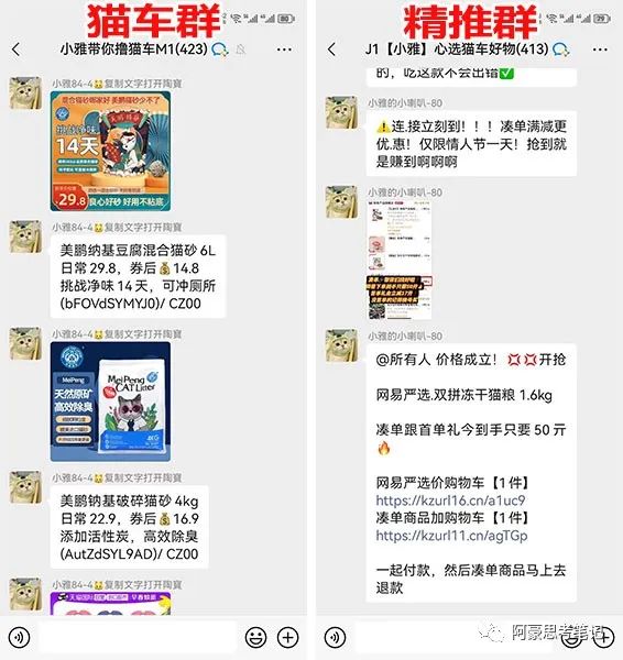 猫车群如何做深做透快速回本？-壹度创客网
