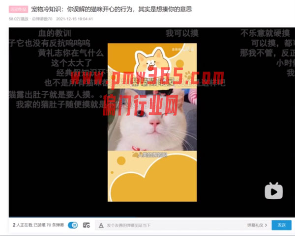 宠物号操作拆解，适合小白矩阵操作的项目-壹度创客网