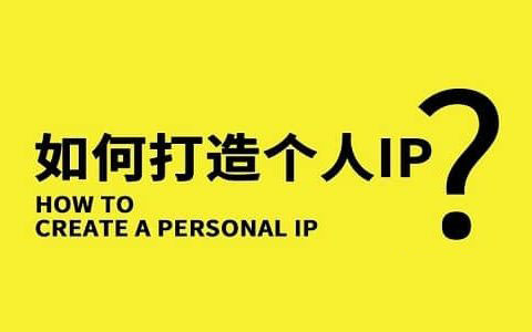 IP引流技术打造超强变现项目-壹度创客网