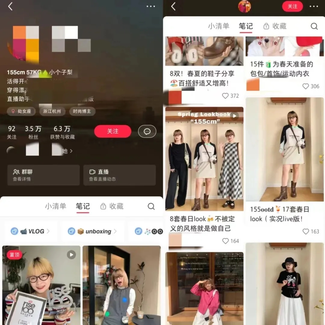 小红书上的普通人如何抓住财富大机遇？-壹度创客网