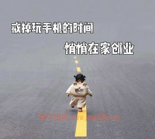 下班后别偷懒,悄悄在家创业赚钱-壹度创客网