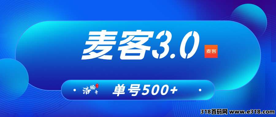 【麦客3.0】全新玩法，大神一对一带你搞钱，可零撸！-壹度创客网