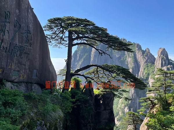 景区免费照相项目，边娱乐边搞米！-壹度创客网