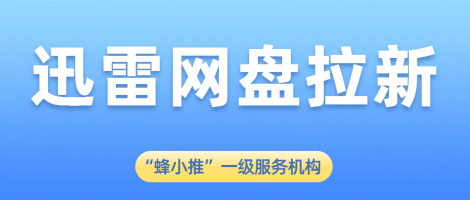 蜂小推，解锁高效策略，开启迅雷网盘拉新财富大门-壹度创客网
