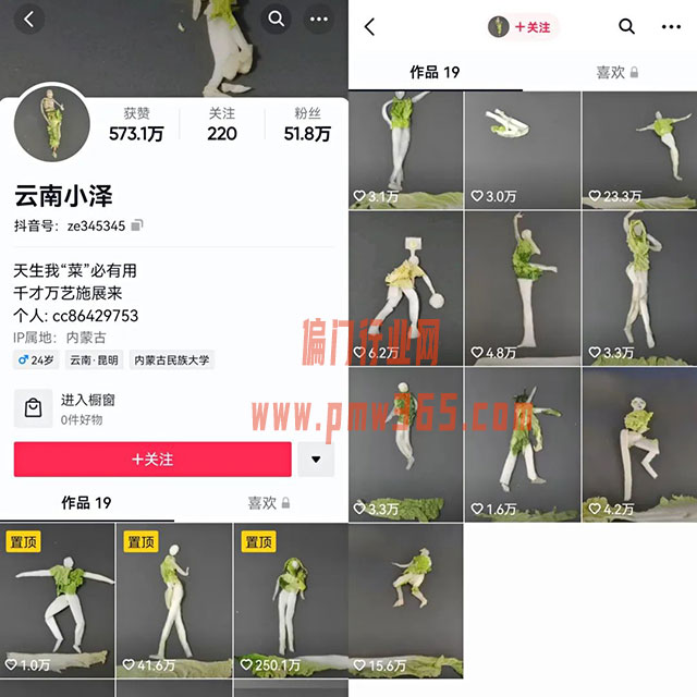定格动画视频实操，抖音挣钱风口项目-壹度创客网
