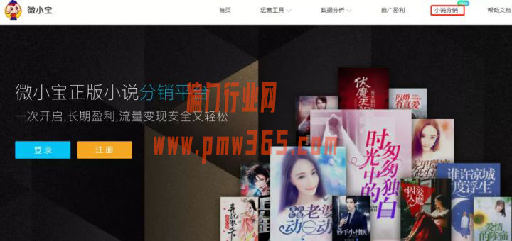 小说派单，小说赚钱玩法揭秘-壹度创客网