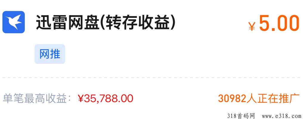 任推邦迅雷网盘拉新怎么授权？-壹度创客网