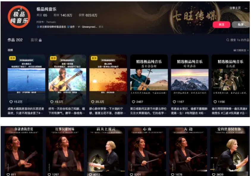 音乐号新玩法，1周涨2W粉，月入5000+，保姆级拆解-壹度创客网